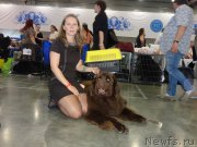 Превью фото № 210366