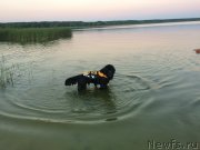 Превью фото № 210385