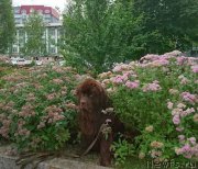 Превью фото № 210400