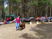 Превью фото № 210495