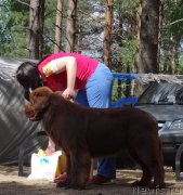 Превью фото № 210503