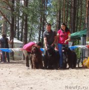 Превью фото № 210504