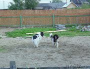 Превью фото № 210612