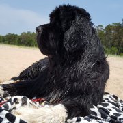 Превью фото № 210622