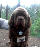 Превью фото № 210796