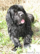 Превью фото № 210801