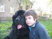 Превью фото № 210803