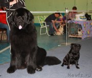 Превью фото № 210806