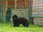 Превью фото № 210885