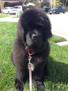 Превью фото № 210892