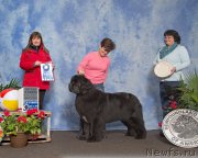 Превью фото № 210893