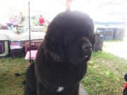 Превью фото № 210894