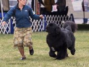 Превью фото № 210898