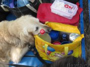 Превью фото № 210907