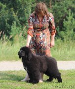 Превью фото № 210941