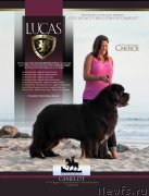 Превью фото № 210969