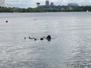 Превью фото № 210984