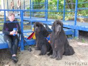 Превью фото № 210985