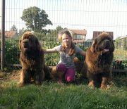 Превью фото № 210988