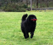 Превью фото № 210992