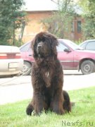 Превью фото № 211006