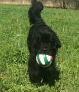 Превью фото № 211055