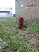 Превью фото № 211094