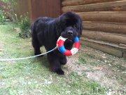 Превью фото № 211116