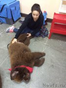 Превью фото № 211132