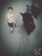 Превью фото № 211139