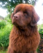 Превью фото № 211167