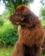 Превью фото № 211168