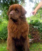 Превью фото № 211169