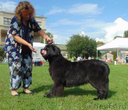 Превью фото № 211183