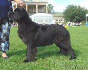 Превью фото № 211185