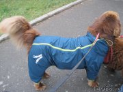 Превью фото № 211242