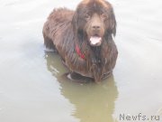 Превью фото № 211271