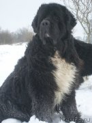 Превью фото № 211391