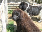 Превью фото № 211400