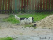 Превью фото № 211447