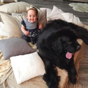 Превью фото № 211515