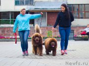 Превью фото № 211533