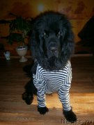 Превью фото № 211569