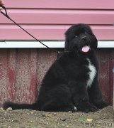 Превью фото № 211573