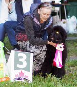 Превью фото № 211580