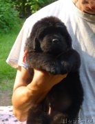 Превью фото № 211587