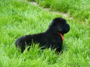 Превью фото № 211589