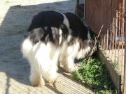 Превью фото № 211659