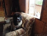 Превью фото № 211701