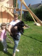 Превью фото № 211739